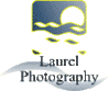 Laurel_Photography2.gif