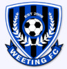 weeting-3_forum.jpg