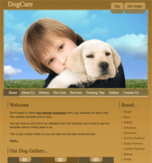 Dog care template