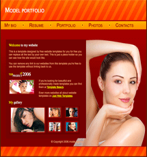 Model portfolio template